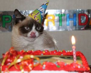 cat birthday picture